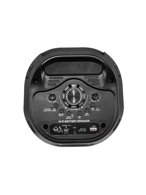 Активна тонколона Rancore RS661, 16W, 65dB, Дистанционно управление, USB кабел, Mикрофон с кабел, Черен - Код G8738