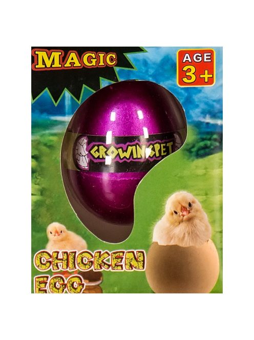 Növekvő csirke tojásban